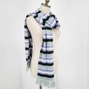 Ann Taylor Wool Blend Knit Scarf Striped Fringe Blue Long